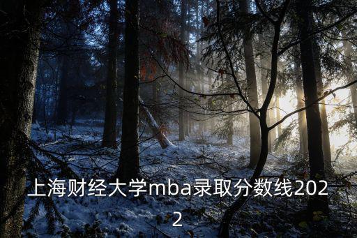 上海財經大學mba錄取分數線2022