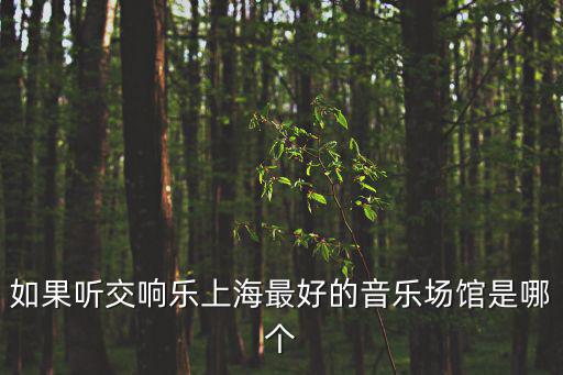 如果聽交響樂上海最好的音樂場館是哪個