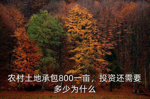 農村土地承包800一畝，投資還需要多少為什么