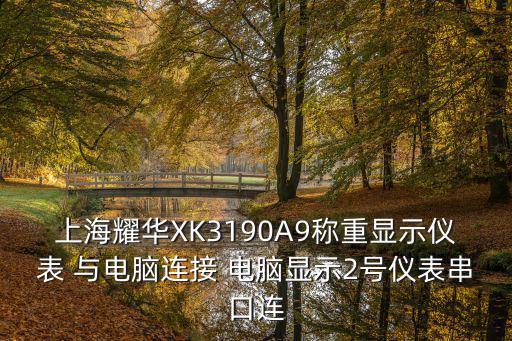 上海耀華XK3190A9稱重顯示儀表 與電腦連接 電腦顯示2號儀表串口連