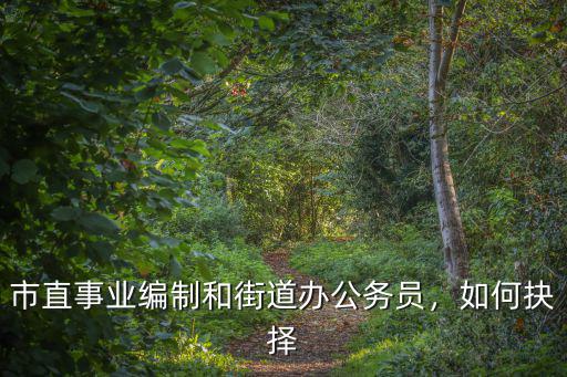 市直事業編制和街道辦公務員，如何抉擇