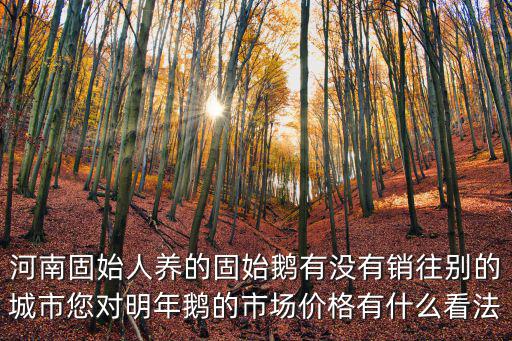河南固始人養(yǎng)的固始鵝有沒(méi)有銷(xiāo)往別的城市您對(duì)明年鵝的市場(chǎng)價(jià)格有什么看法