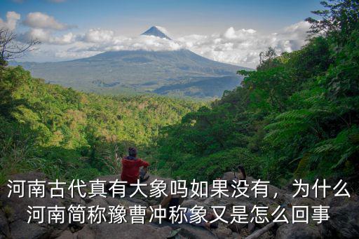 河南古代真有大象嗎如果沒有，為什么河南簡稱豫曹沖稱象又是怎么回事