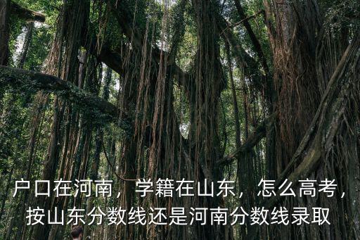 戶口在河南，學籍在山東，怎么高考，按山東分數線還是河南分數線錄取