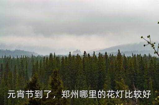 元宵節到了，鄭州哪里的花燈比較好