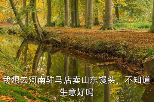 我想去河南駐馬店賣山東饅頭，不知道生意好嗎