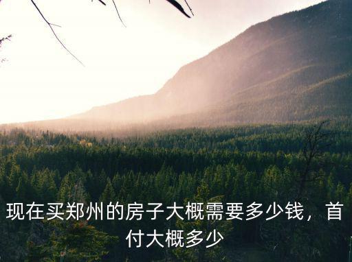 現在買鄭州的房子大概需要多少錢，首付大概多少