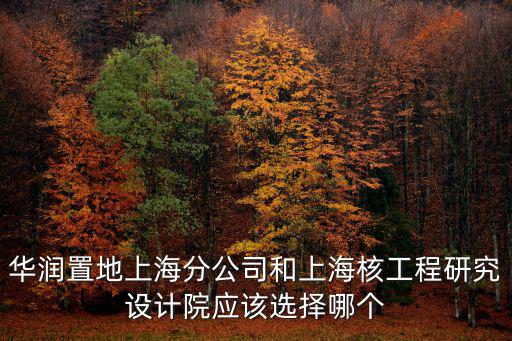 華潤置地上海分公司和上海核工程研究設(shè)計(jì)院應(yīng)該選擇哪個(gè)