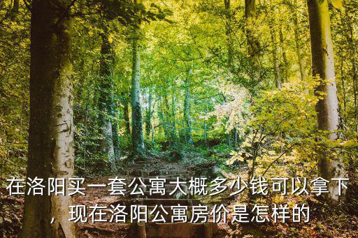 在洛陽(yáng)買(mǎi)一套公寓大概多少錢(qián)可以拿下，現(xiàn)在洛陽(yáng)公寓房?jī)r(jià)是怎樣的