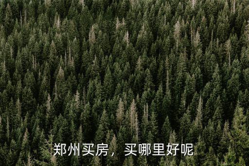 鄭州買房，買哪里好呢