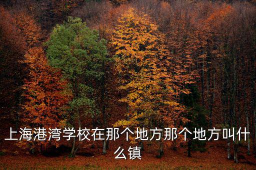 上海港灣學(xué)校在那個(gè)地方那個(gè)地方叫什么鎮(zhèn)