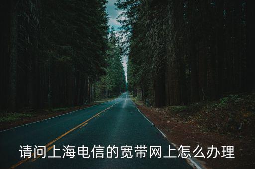 請問上海電信的寬帶網上怎么辦理