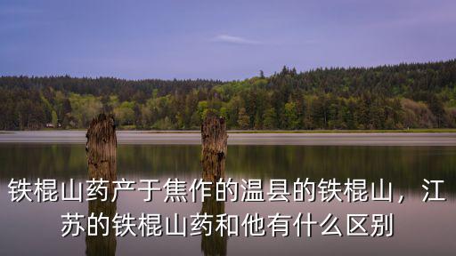 鐵棍山藥產于焦作的溫縣的鐵棍山，江蘇的鐵棍山藥和他有什么區別