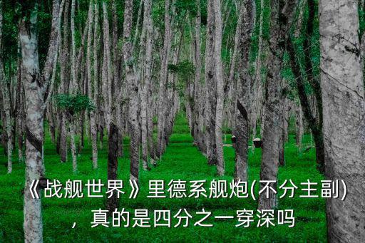 《戰艦世界》里德系艦炮(不分主副)，真的是四分之一穿深嗎