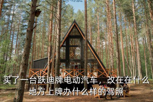 平頂山電動汽車在哪里上牌,改在在什么地方上牌