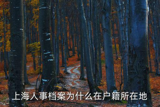 上海人事，上海人事專員工資大概是多少本科畢業的話