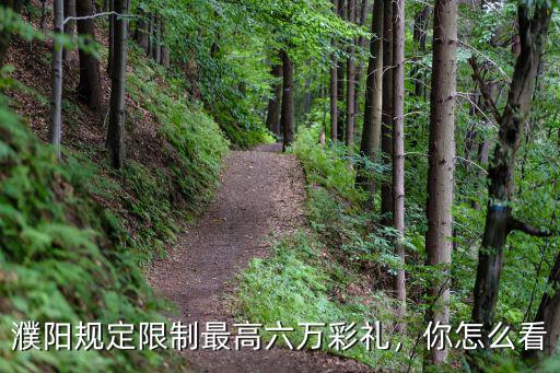 濮陽最高工資多少,`河南平均工資是多少