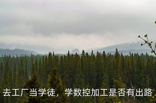去工廠當(dāng)學(xué)徒，學(xué)數(shù)控加工是否有出路