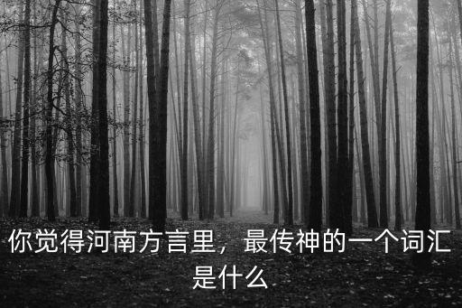 你覺得河南方言里，最傳神的一個(gè)詞匯是什么