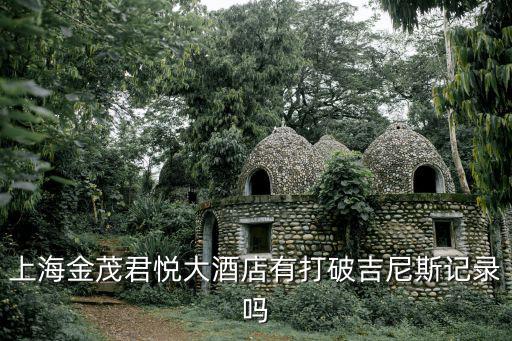 上海金茂君悅大酒店有打破吉尼斯記錄嗎