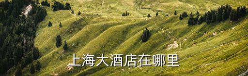 上海大酒店在哪里