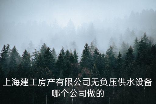 上海建工房產(chǎn)有限公司無負(fù)壓供水設(shè)備哪個(gè)公司做的