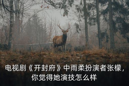 電視劇《開封府》中雨柔扮演者張檬，你覺得她演技怎么樣