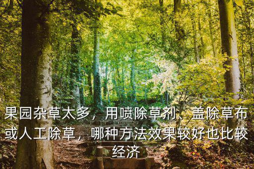 河南除草布哪里有,苗木蓋除草布有用嗎