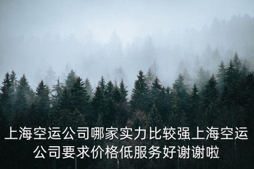 上海空運(yùn)公司哪家實(shí)力比較強(qiáng)上海空運(yùn)公司要求價(jià)格低服務(wù)好謝謝啦