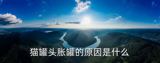 未開封貓罐頭怎么存放,貓罐頭壞了是什么樣的