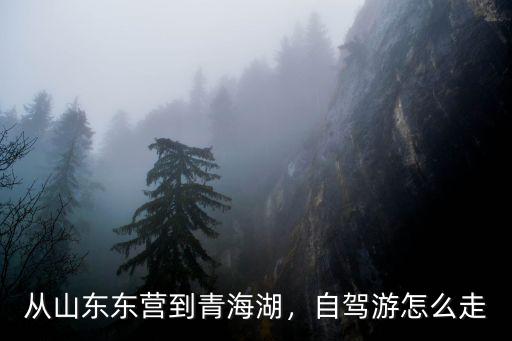 東營到河南自駕怎么走,自駕游怎么走