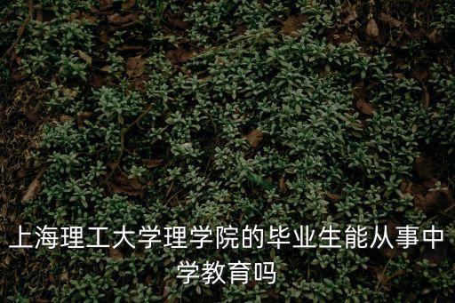 上海理工大學就業信息網，上海理工大學理學院的畢業生能從事中學教育嗎