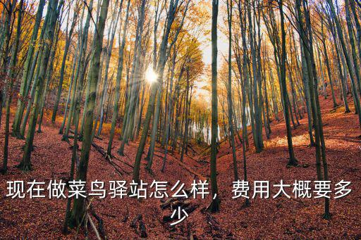 許昌蘭亭花園菜鳥驛站需要多少錢,需要投資多少錢