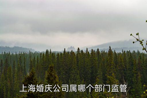 上海婚慶公司屬哪個(gè)部門監(jiān)管