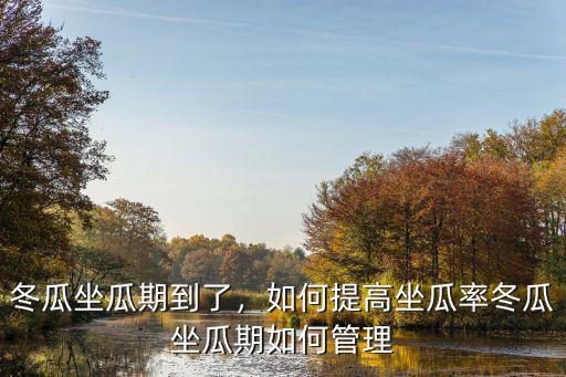 河南今年種了多少冬瓜,冬瓜坐瓜期到了