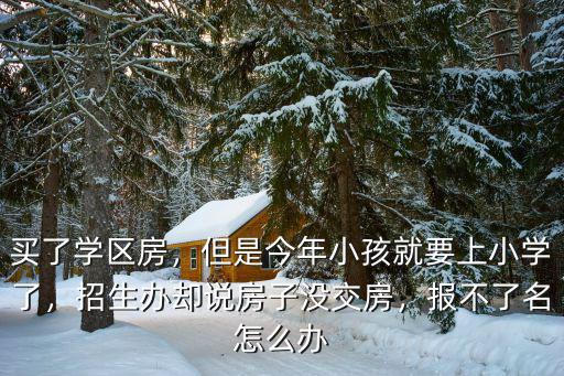 南陽小學報不上名怎么辦,報不了名怎么辦