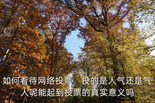 鄭州網(wǎng)絡投票怎么樣,如何看待網(wǎng)絡投票