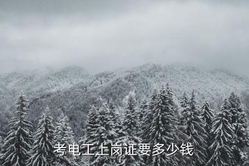 開封考電工證得多少錢,考電工上崗證要多少錢