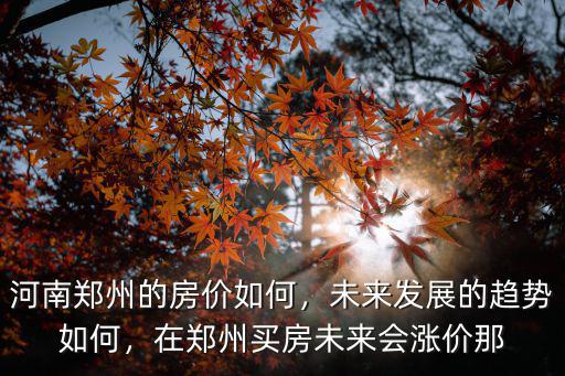 河南鄭州的房價如何，未來發展的趨勢如何，在鄭州買房未來會漲價那