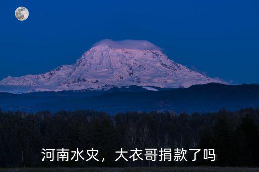 吳宣儀為河南捐款了多少,司馬南給河南捐款了么