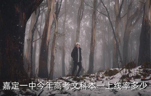 嘉定一中今年高考文科本一上線率多少