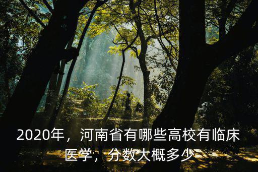 2020年，河南省有哪些高校有臨床醫(yī)學(xué)，分?jǐn)?shù)大概多少