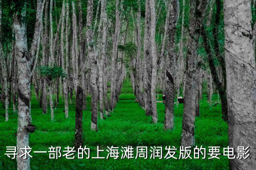 尋求一部老的上海灘周潤發(fā)版的要電影