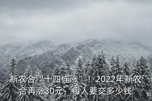 洛陽2022年新農(nóng)合交多少錢,每人要交多少錢