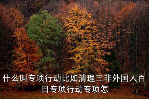 什么叫專項行動比如清理三非外國人百日專項行動專項怎