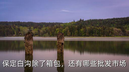 保定白溝除了箱包，還有哪些批發(fā)市場(chǎng)