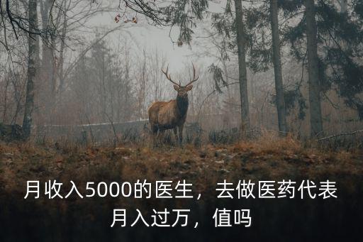 月收入5000的醫生，去做醫藥代表月入過萬，值嗎
