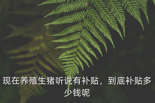 現在養殖生豬聽說有補貼，到底補貼多少錢呢