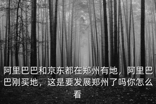 阿里巴巴和京東都在鄭州有地，阿里巴巴剛買地，這是要發展鄭州了嗎你怎么看