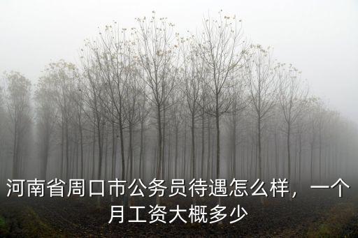 河南省周口市公務員待遇怎么樣，一個月工資大概多少
